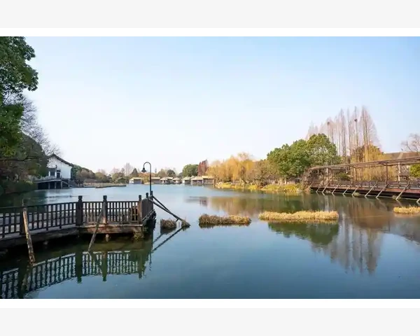 儿童脾胃不好，这5款茶水助消化又健脾
