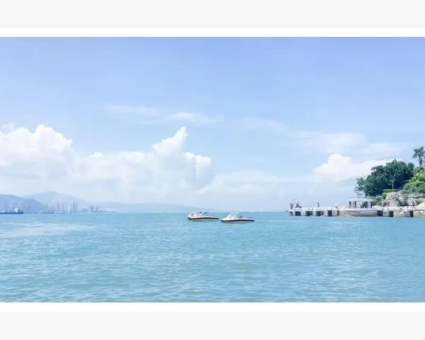 为什么喝了红枣姜茶失眠了
